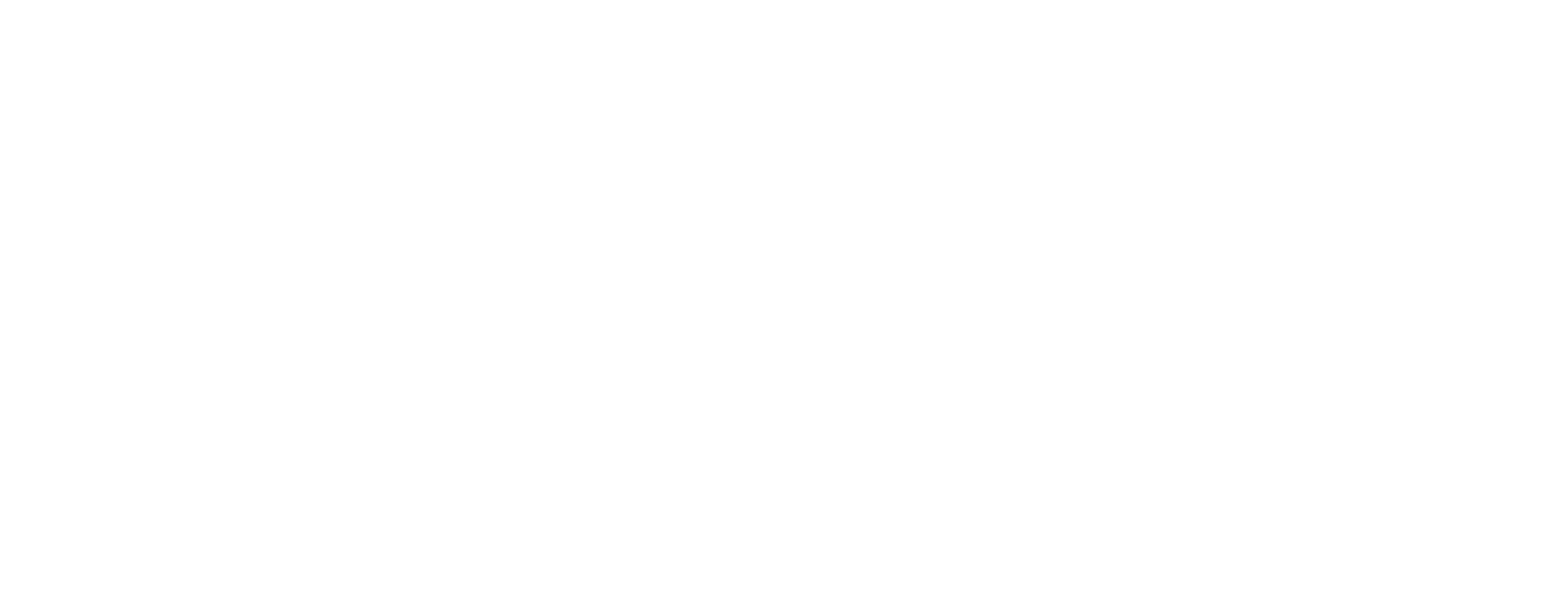 Logo White